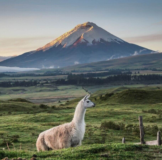 Wulkaniczne krajobrazy którymi cieszymy się podczas wyprawy do Ekwadoru